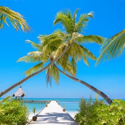 星空下载app下载