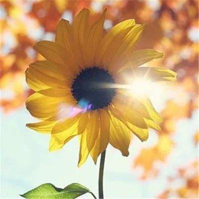 澳门mgm娱乐官网app下载