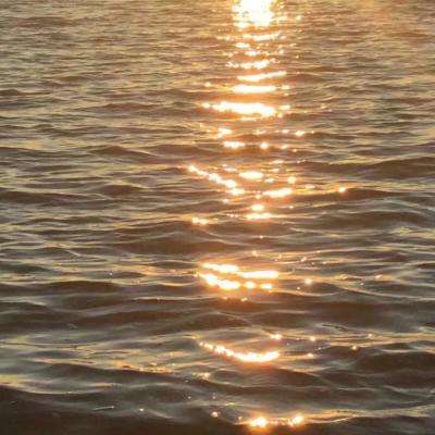 亚洲体育官网登录截图