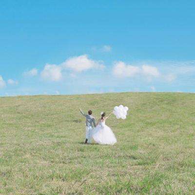 pc蛋蛋官网截图